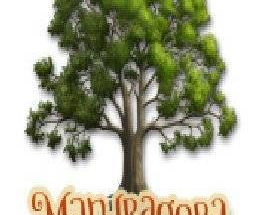 Mandragora