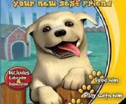 Puppy Luv