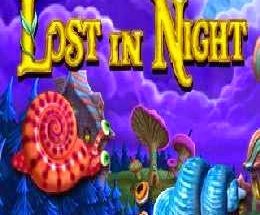 Lost in Night