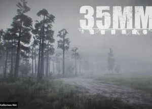 35MM
