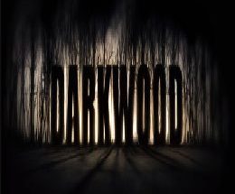 Darkwood