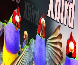 Xbird