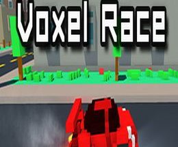 Voxel Race