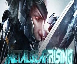 Metal Gear Rising: Revengeance