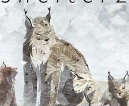 Shelter 2