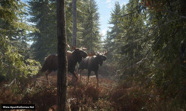 TheHunter: Call of The Wild Screenshot 1, Full Version, PC Game, Download Free
