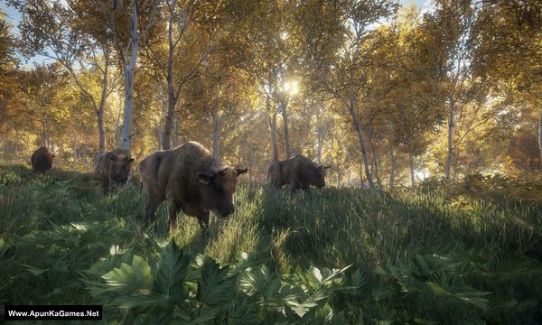 TheHunter: Call of The Wild Screenshot 2, Full Version, PC Game, Download Free