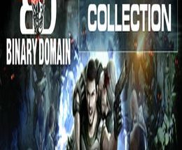 Binary Domain