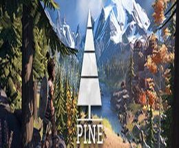 Pine
