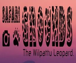 Safari Grounds – The Wilpattu Leopard