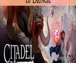Citadel: Forged with Fire
