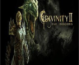 Divinity II: Ego Draconis