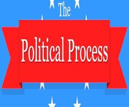 The Political Process