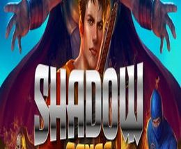 Shadow Gangs