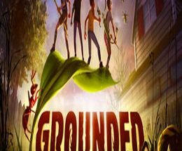 Grounded