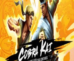 Cobra Kai: The Karate Kid Saga Continues