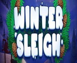 Winter Sleigh