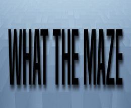 What The Maze