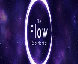The Flow Experience