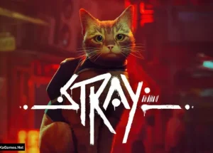 Stray