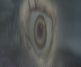 The Terrible Old Man