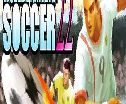 World Fighting Soccer 22