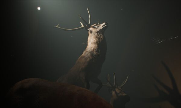 Project 13: Taxidermy Trails Screenshot 1, Full Version, PC Game, Download Free