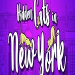 Hidden Cats in New York