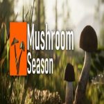 Mushroom Season