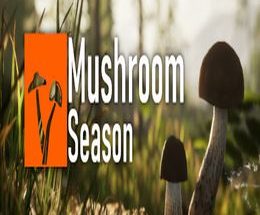 Mushroom Season