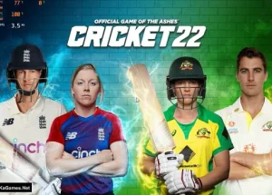 Cricket 22