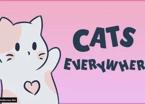 Cats Everywhere