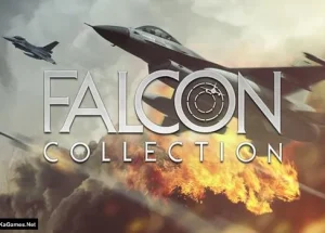 Falcon Collection