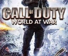 Call of Duty World at War