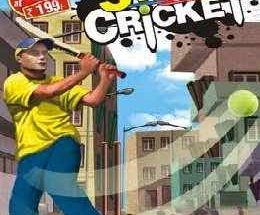 Street Cricket 2010