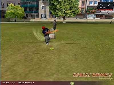 Street Cricket 2010 Screenshot Photos 3
