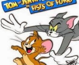 Tom and Jerry in Fists of Furry