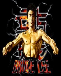 Bruce Lee Call of the Dragon cover new